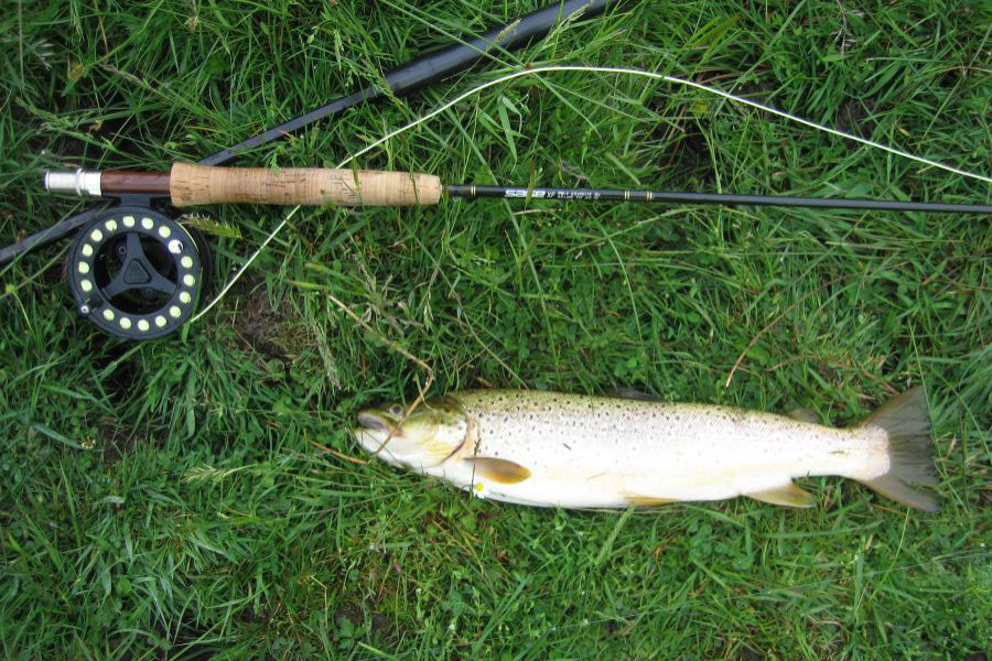 Ulverston Angling Photo